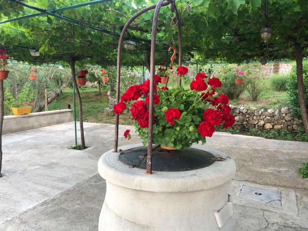 Villa Divna Labin  Esterno foto